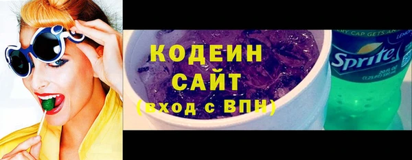 мдпв Вяземский