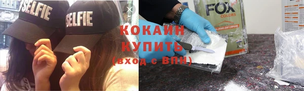 мдпв Вяземский