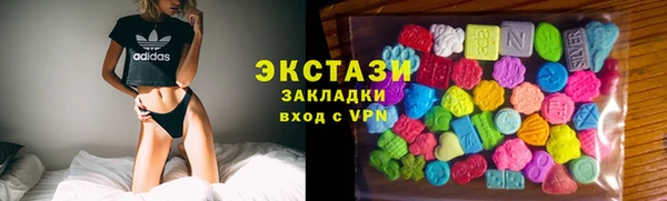 мдпв Вяземский