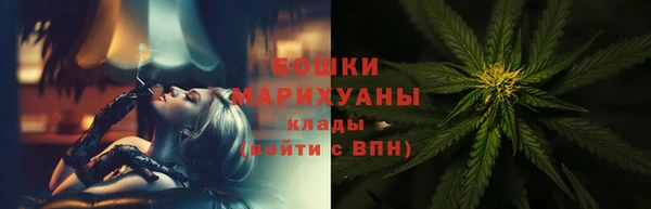 мдпв Вяземский