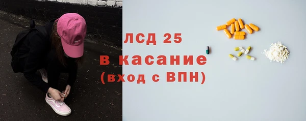 мдпв Вяземский