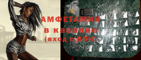 мдпв Вяземский