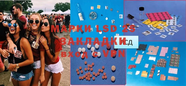 мдпв Вяземский