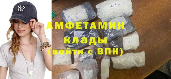 мдпв Вяземский