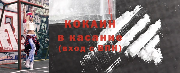 мдпв Вяземский