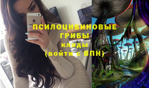 мдпв Вяземский