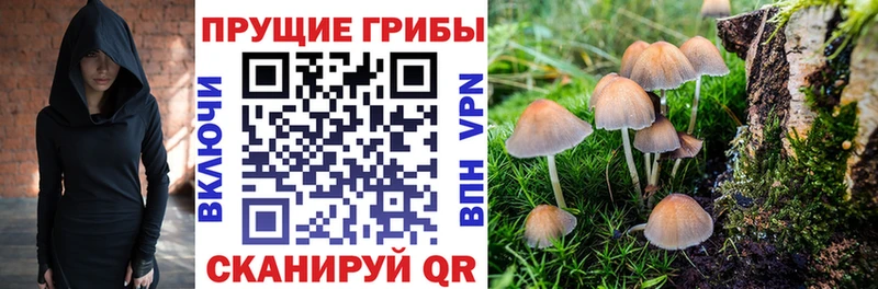 Купить  Красноярск  Псилоцибиновые грибы прущие грибы 